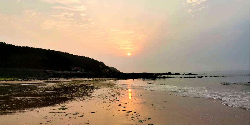 青島康地恩“WE ARE 伐木累”家庭日活動(dòng)