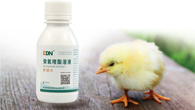 癸氧喹酯溶液在動物球蟲病防治上的應用