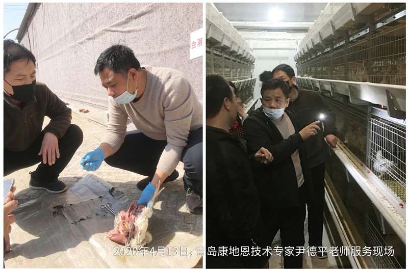 青島康地恩服務專家服務現場