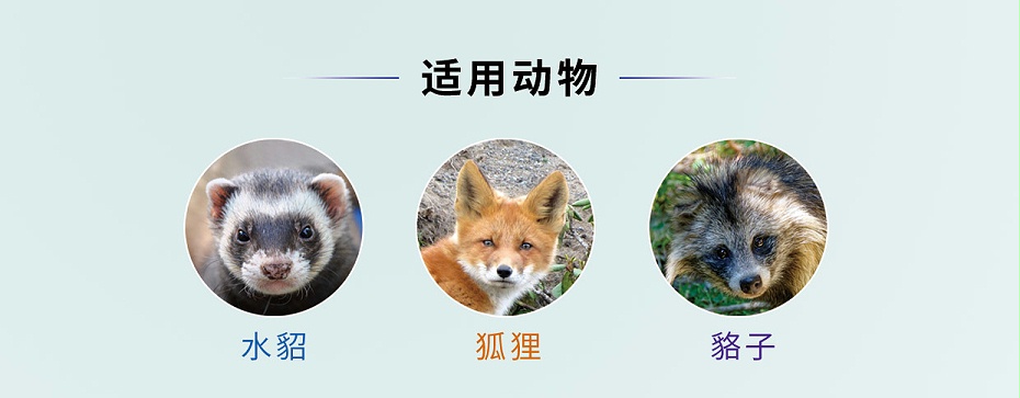 毛皮動物的血蟲病鹽酸多西環(huán)素可溶性粉青島康地恩專賣