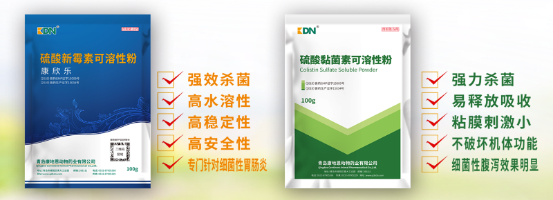 貂大腸桿菌病用藥硫酸新霉素和硫酸黏菌素青島康地恩批發(fā)防治?【康地恩養(yǎng)貂】