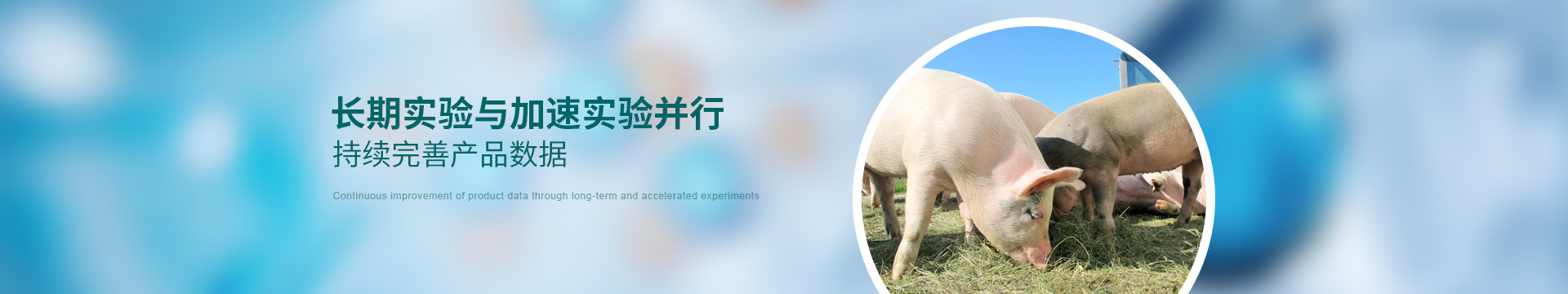 康地恩，長期實驗與加速實驗并行