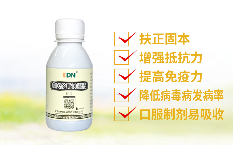 黃芪多糖口服液--青島康地恩