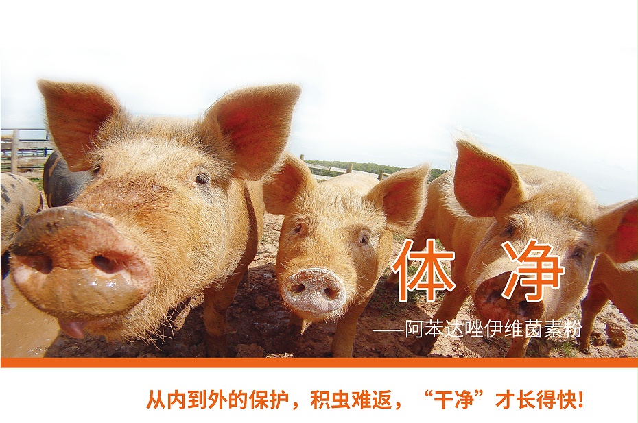 阿苯達唑伊維菌素粉-1