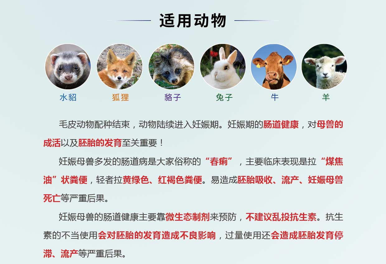 康立建（菌酶復合制劑）-貂狐貉兔牛羊專用