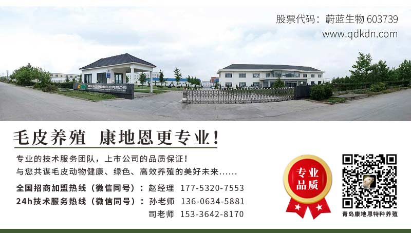 貂狐貉兔用藥廠家直銷批發(fā)加盟-青島康地恩