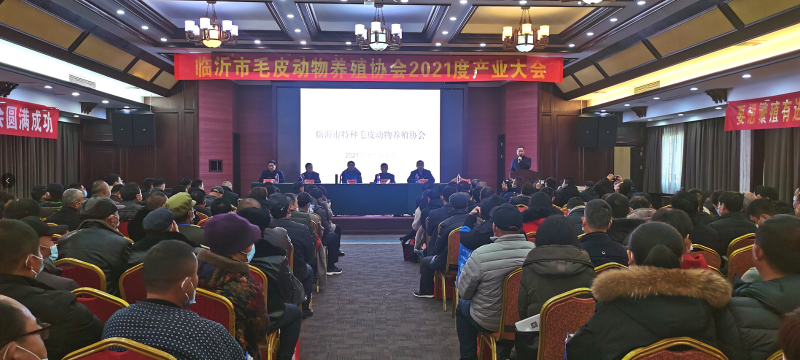 青島康地恩受邀參加臨沂市毛皮動物養(yǎng)殖協(xié)會2021年度產(chǎn)業(yè)大會
