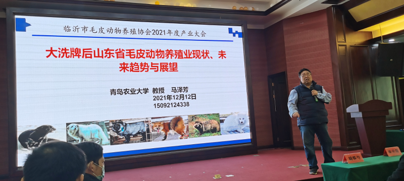 山東畜牧協(xié)會特養(yǎng)分會會長 青島農(nóng)業(yè)大學 馬澤芳教授