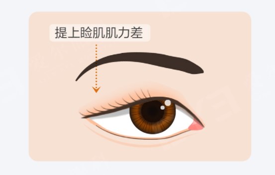 圖片.png 圖片.png